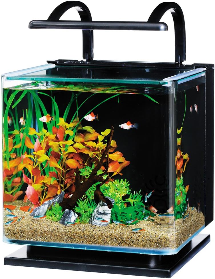 テトラ (Tetra) リビングキューブ 12 オールインワン水槽